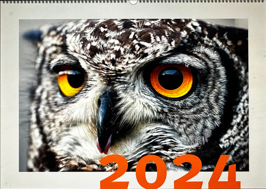 Unser Kalender für 2024 ist da! 😊