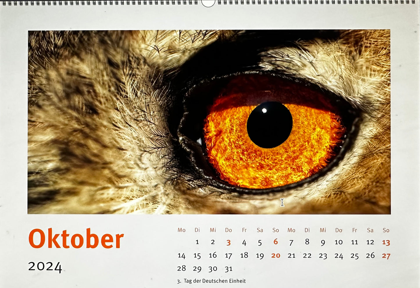 Kalender 2024