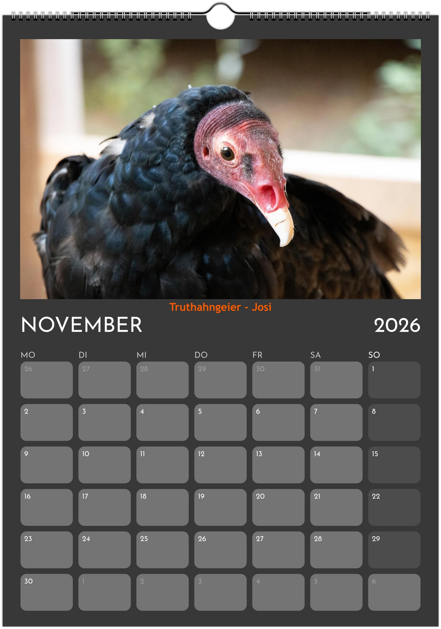 Wandkalender 2026 in 3 Größen