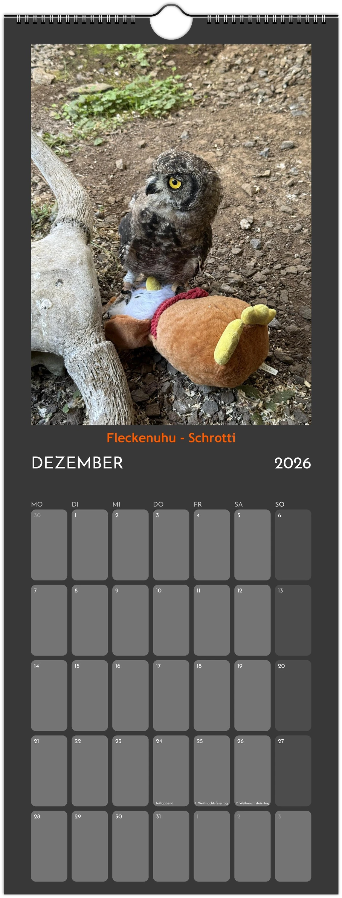 Wandkalender 2026 in 3 Größen