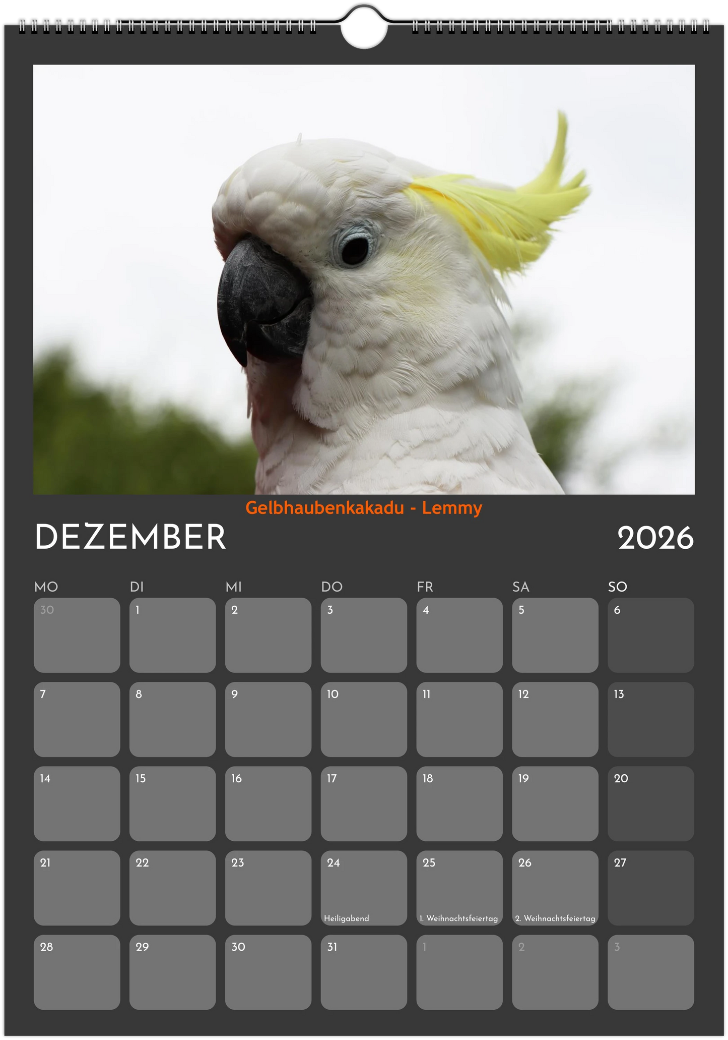 Wandkalender 2026 in 3 Größen