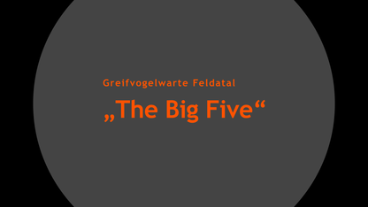"The Big Five"