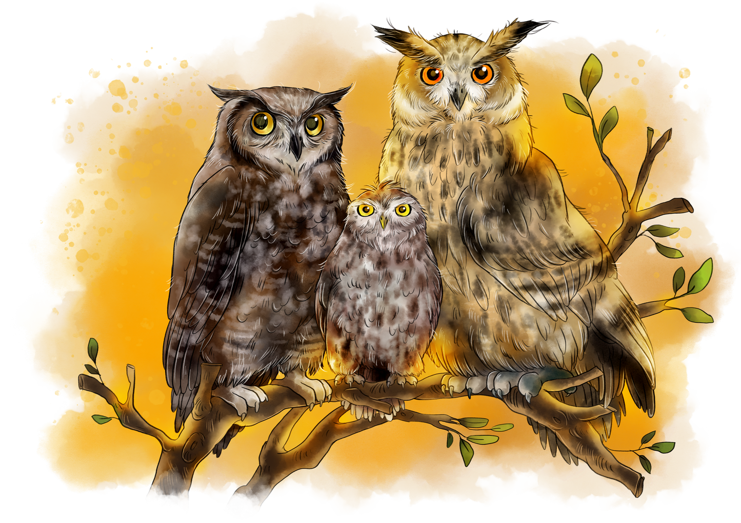 Wertgutschein (Code per Email)