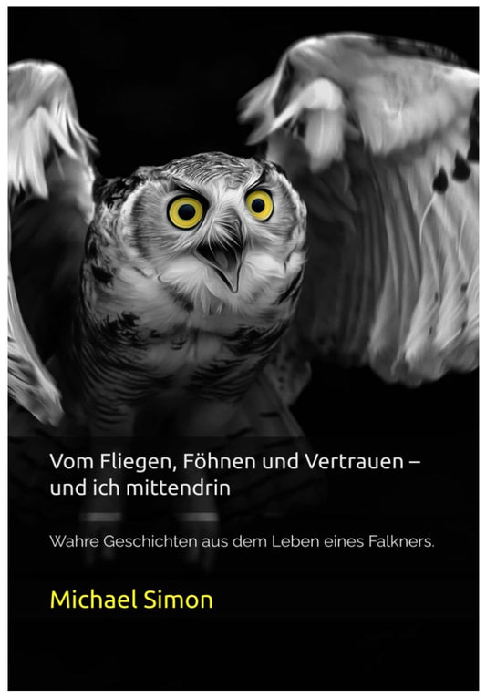 Mein Buch ist erschienen! 😊