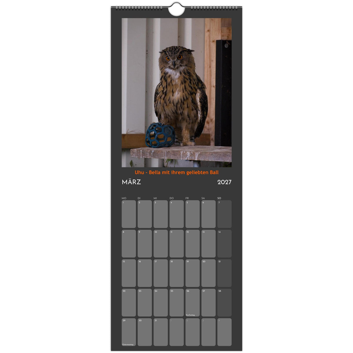 f0c0a72d-4987-4321-aef3-f0ba86b1223b