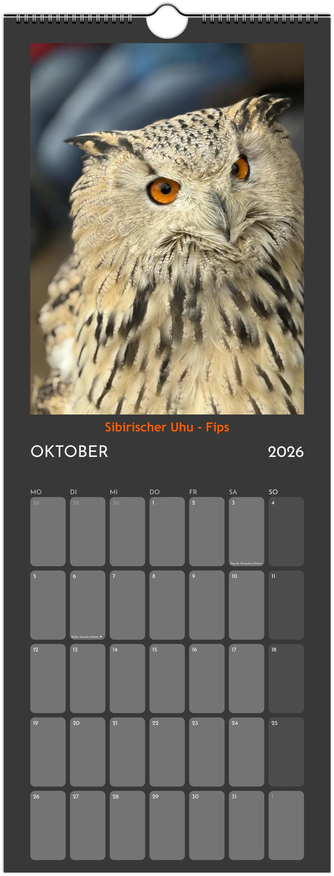 Wandkalender 2026 in 3 Größen