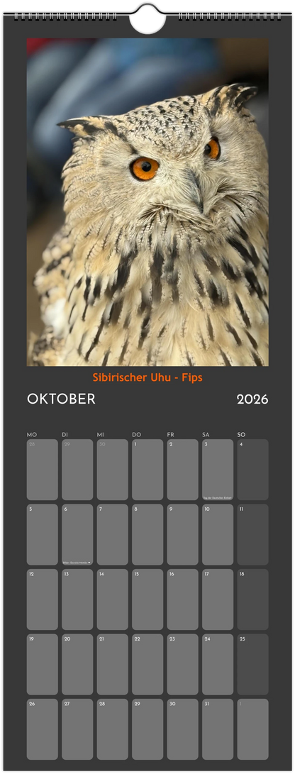 Wandkalender 2026 in 3 Größen