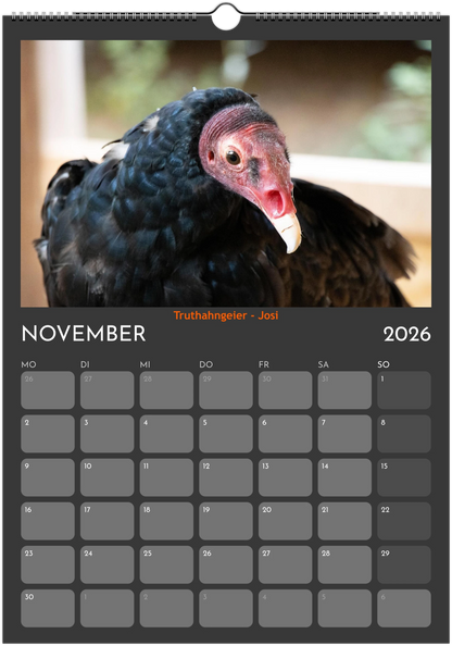 Wandkalender 2026 in 3 Größen
