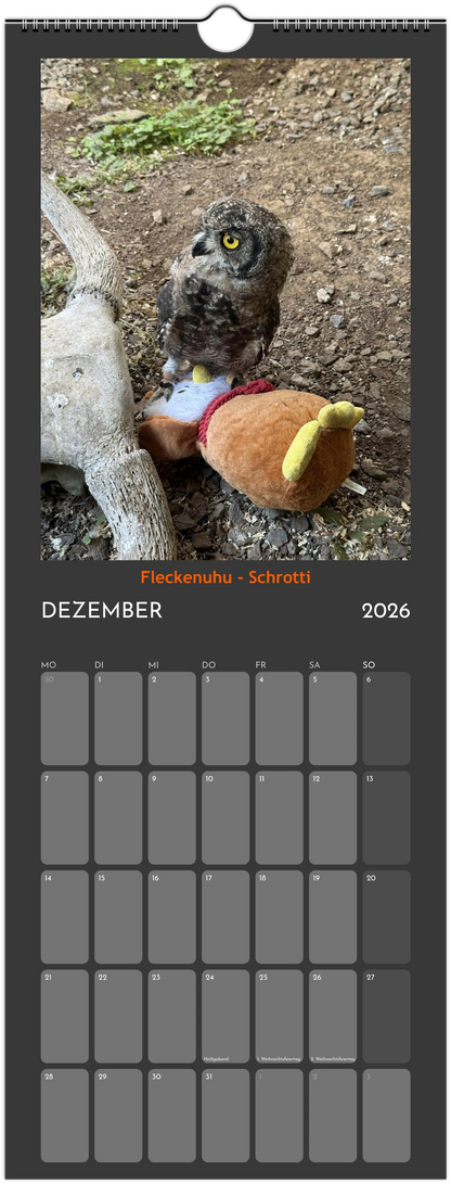 Wandkalender 2026 in 3 Größen