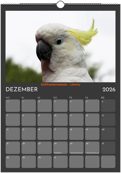Wandkalender 2026 in 3 Größen