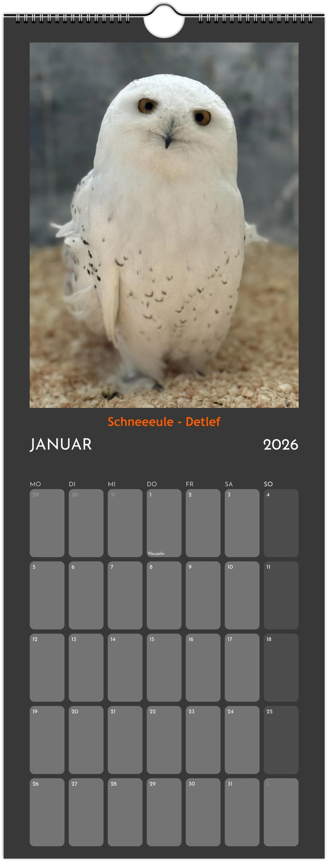 Wandkalender 2026 in 3 Größen
