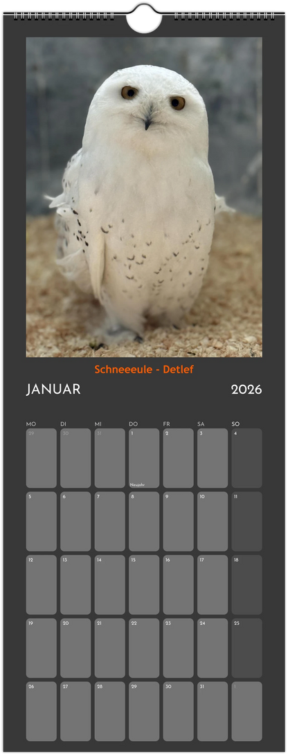 Wandkalender 2026 in 3 Größen