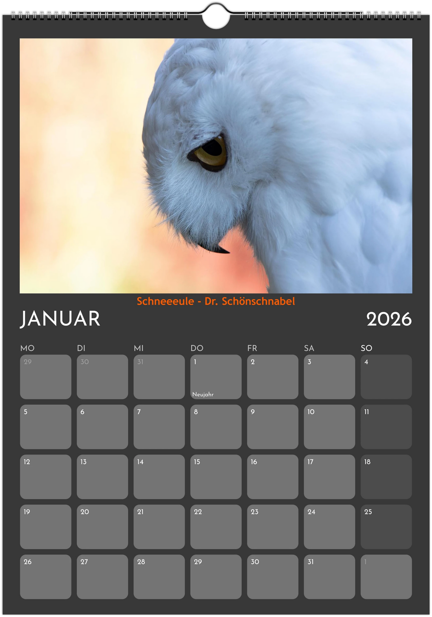 Wandkalender 2026 in 3 Größen