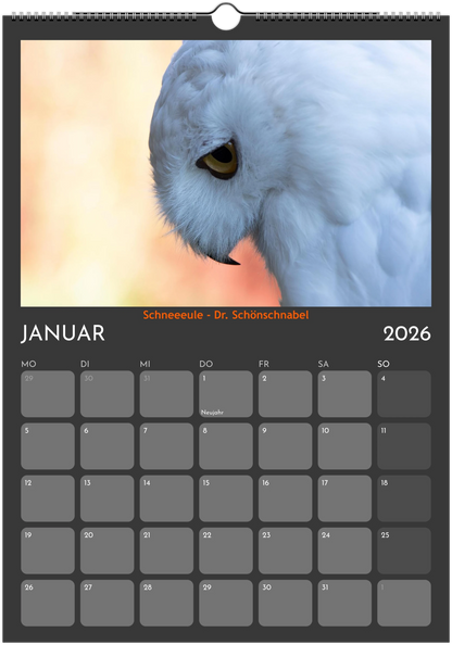 Wandkalender 2026 in 3 Größen