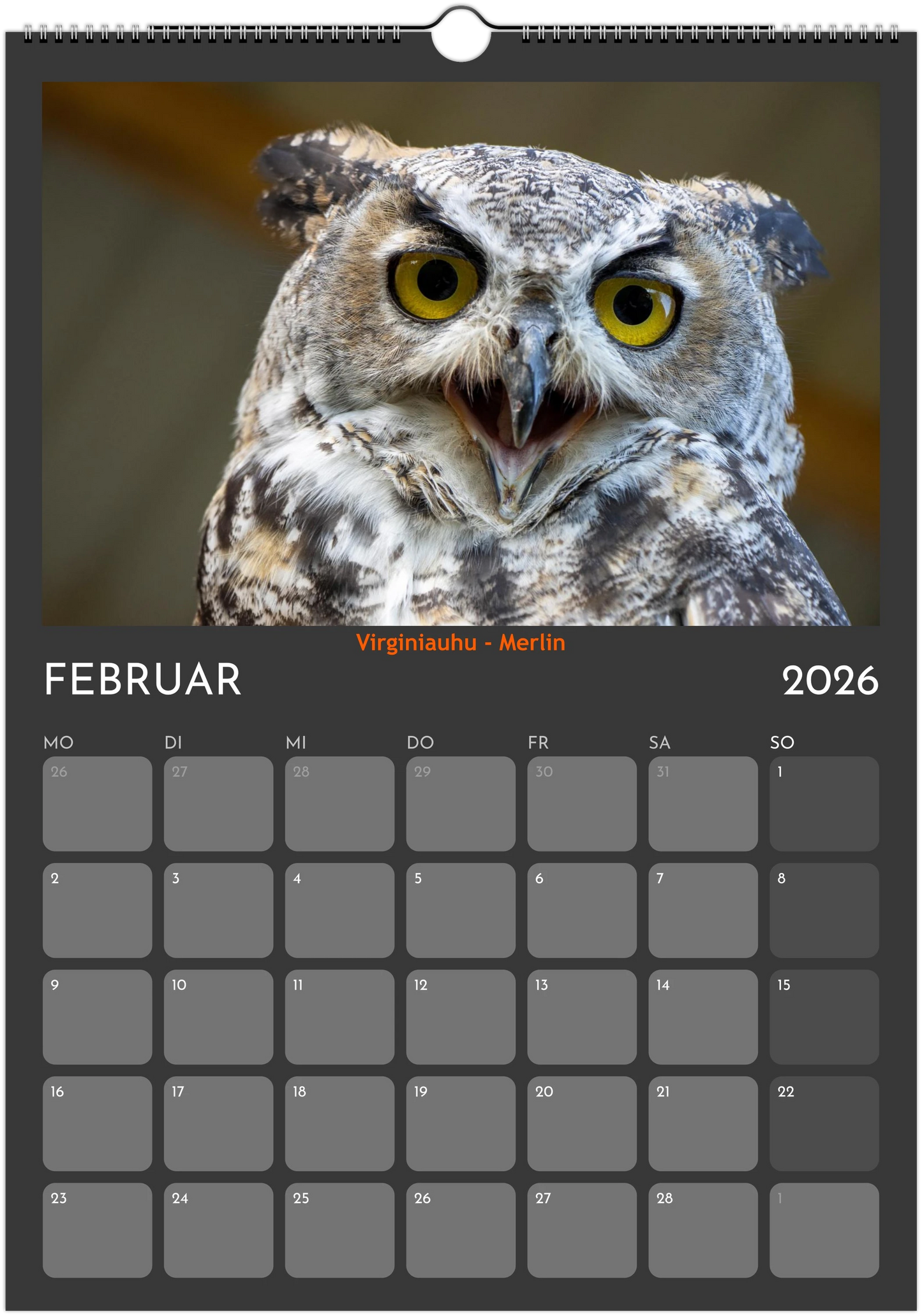 Wandkalender 2026 in 3 Größen