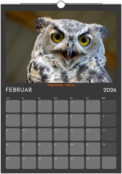 Wandkalender 2026 in 3 Größen