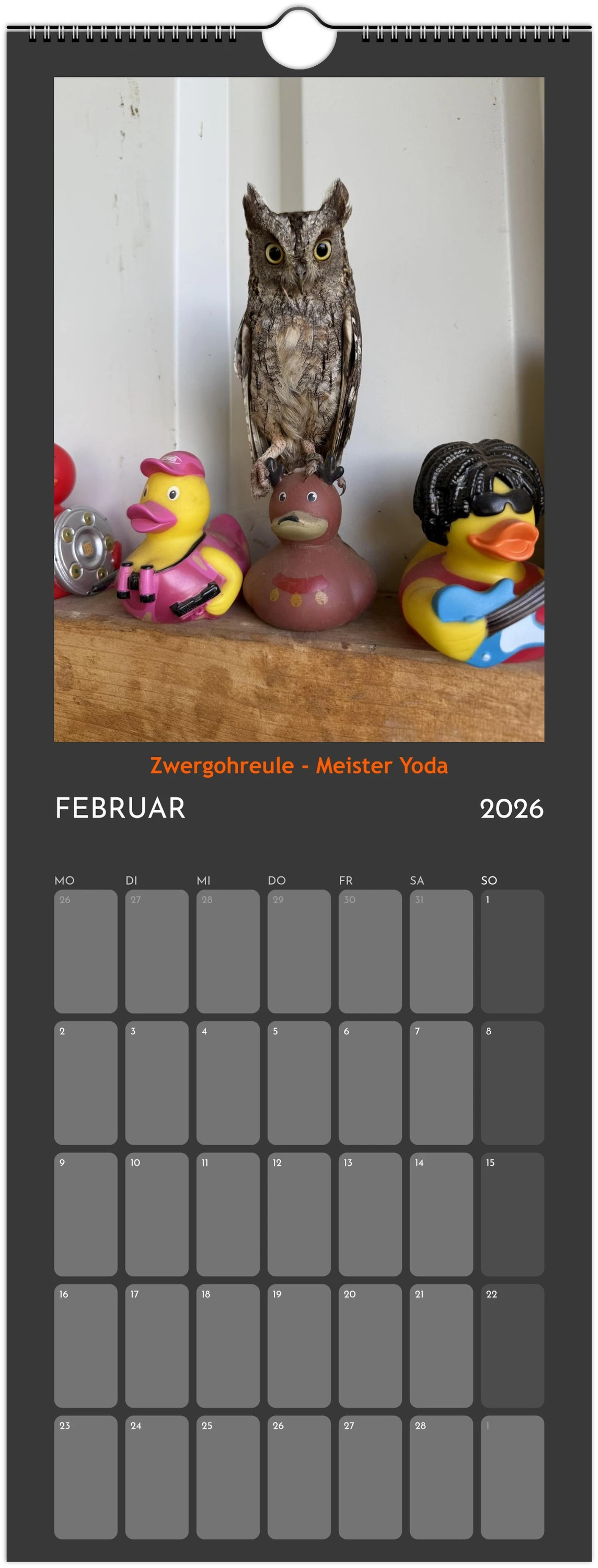 Wandkalender 2026 in 3 Größen