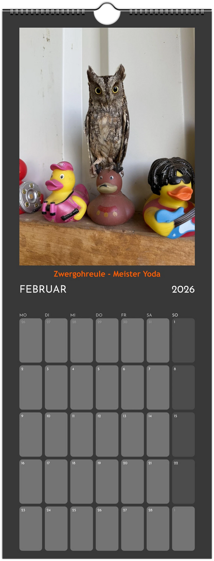 Wandkalender 2026 in 3 Größen
