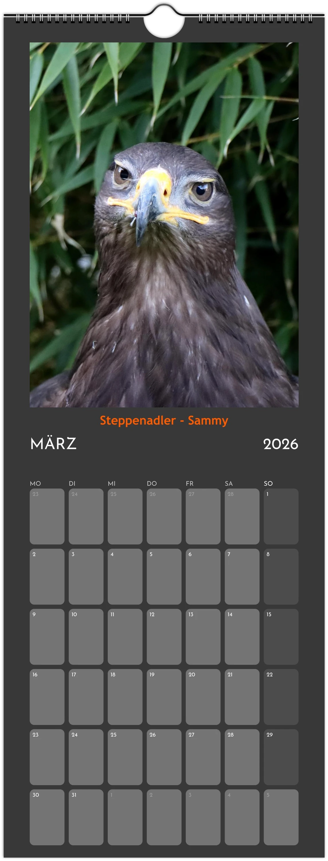 Wandkalender 2026 in 3 Größen