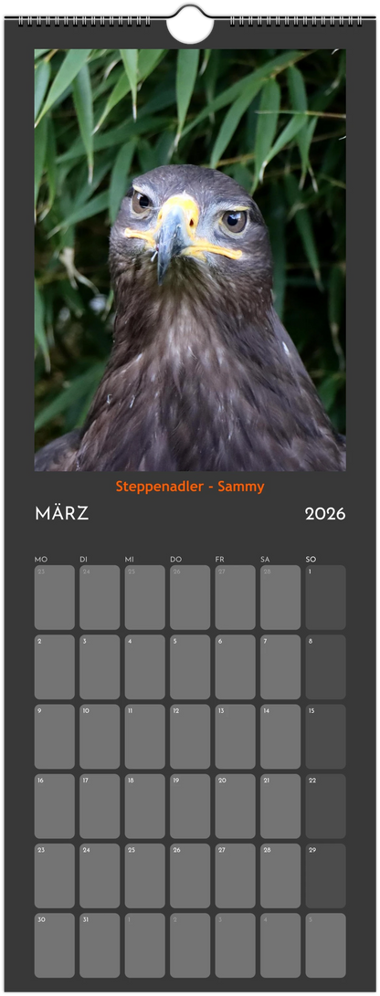 Wandkalender 2026 in 3 Größen