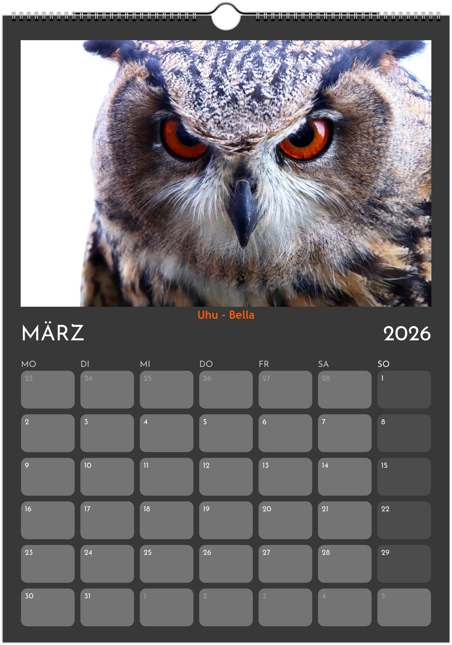 Wandkalender 2026 in 3 Größen