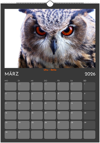 Wandkalender 2026 in 3 Größen