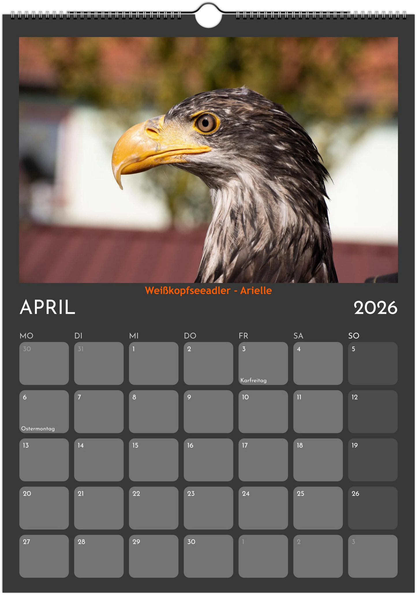 Wandkalender 2026 in 3 Größen