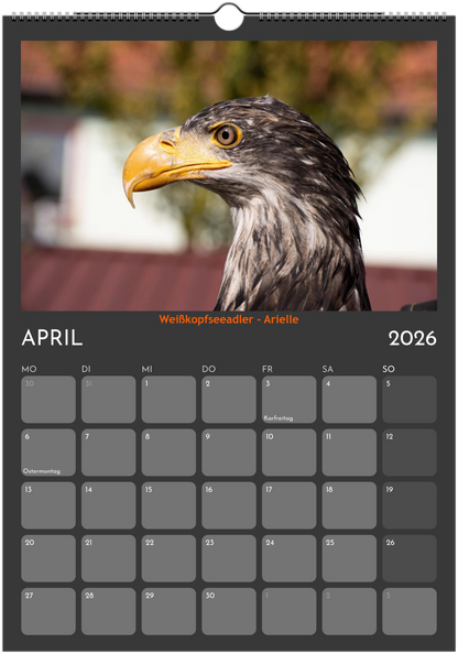 Wandkalender 2026 in 3 Größen
