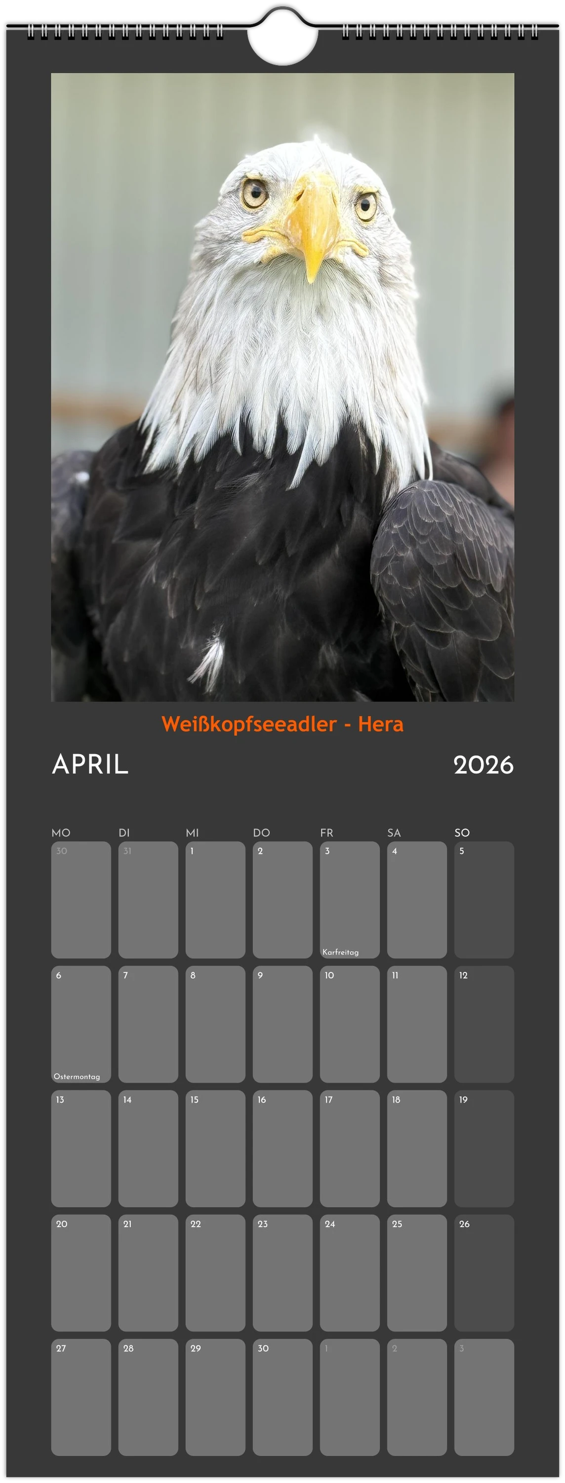 Wandkalender 2026 in 3 Größen