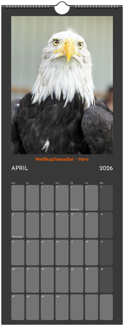 Wandkalender 2026 in 3 Größen