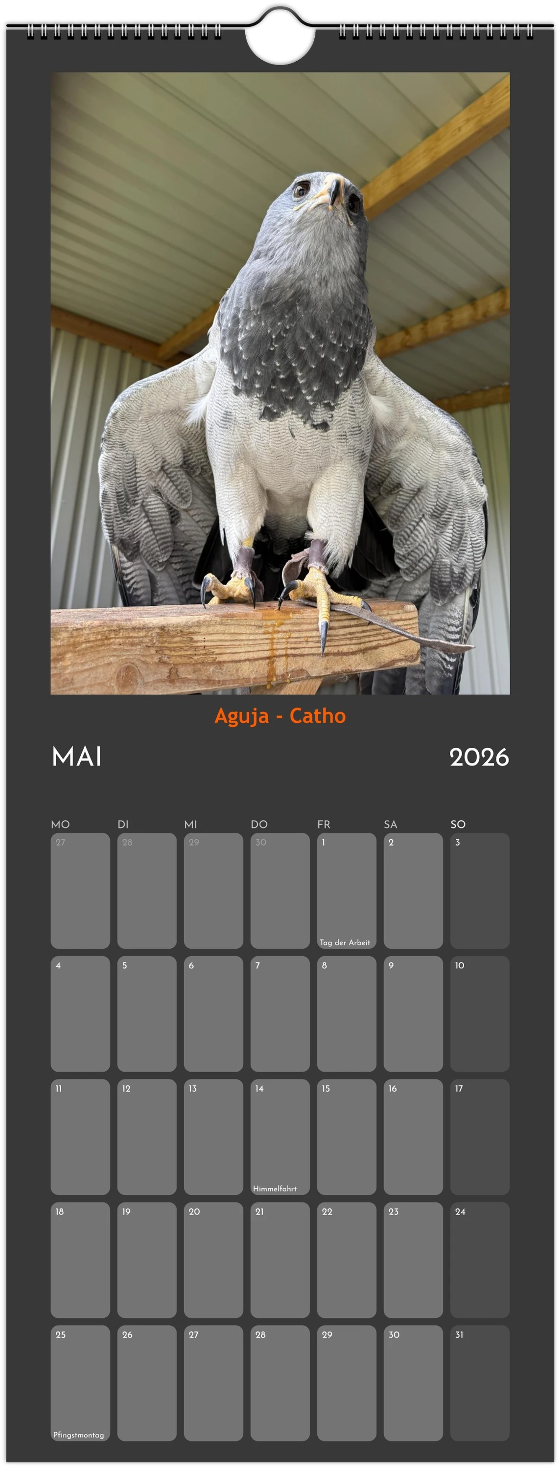 Wandkalender 2026 in 3 Größen