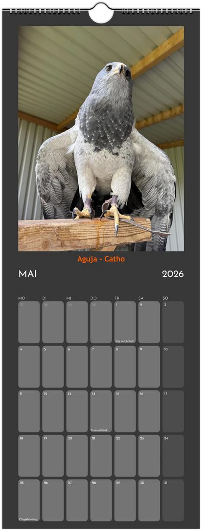 Wandkalender 2026 in 3 Größen