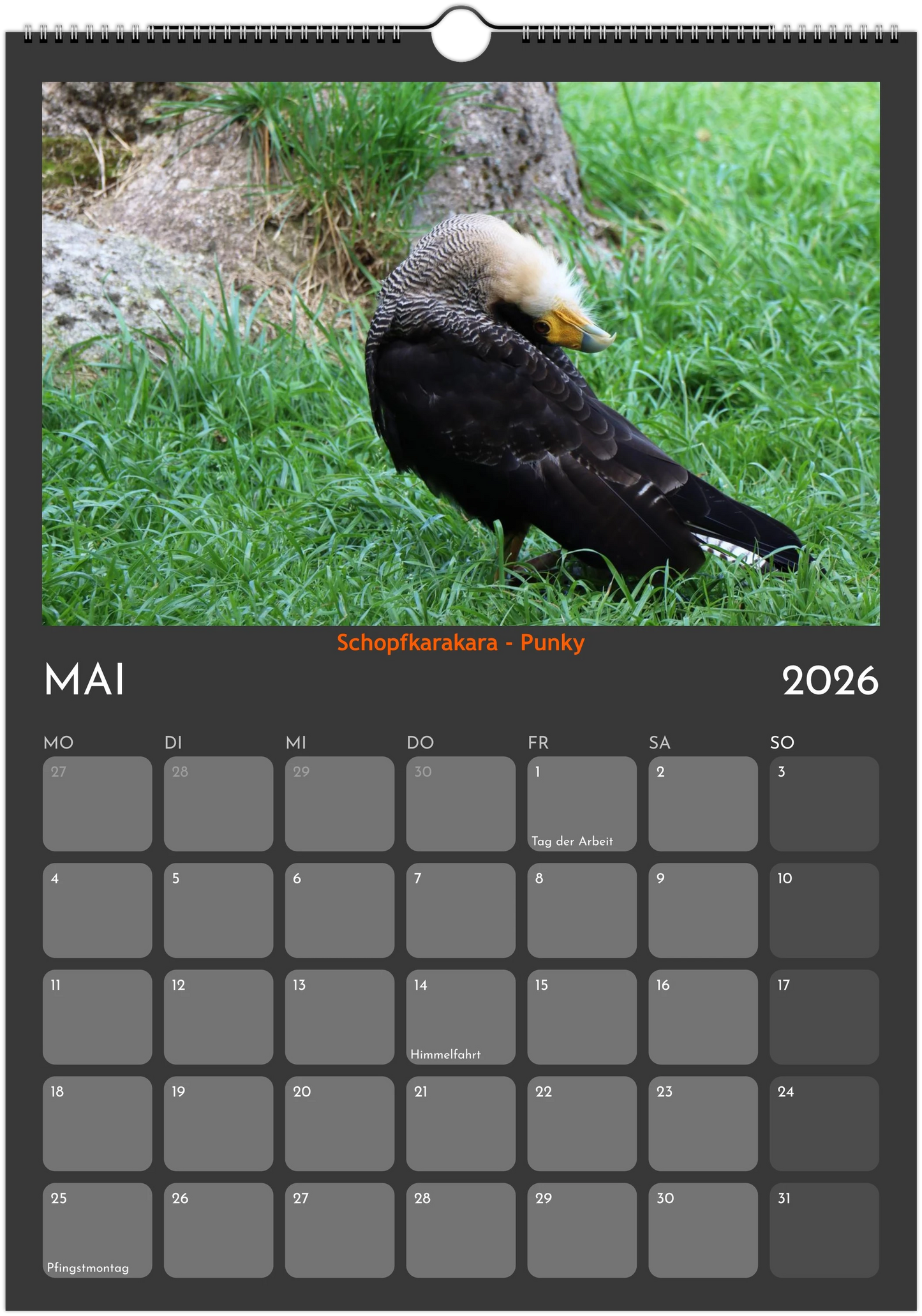 Wandkalender 2026 in 3 Größen