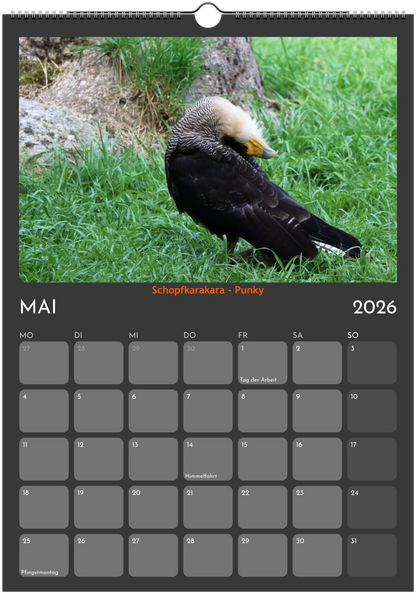 Wandkalender 2026 in 3 Größen