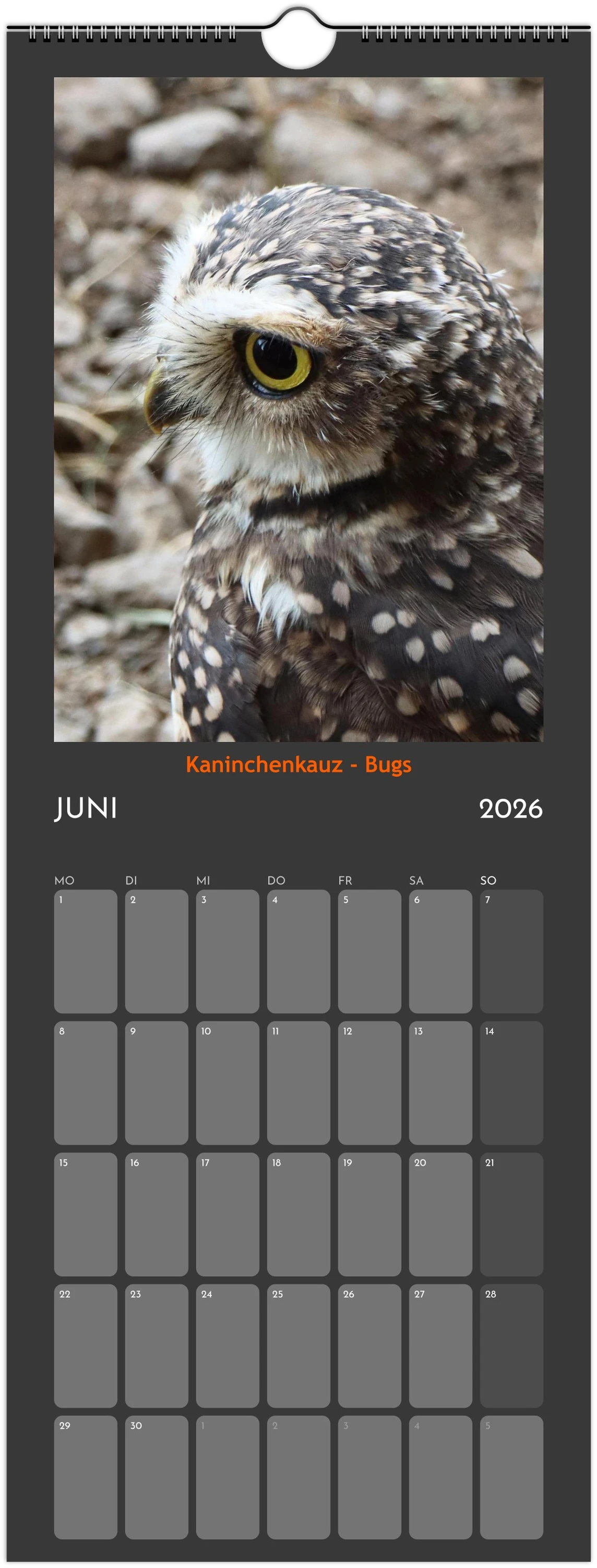 Wandkalender 2026 in 3 Größen