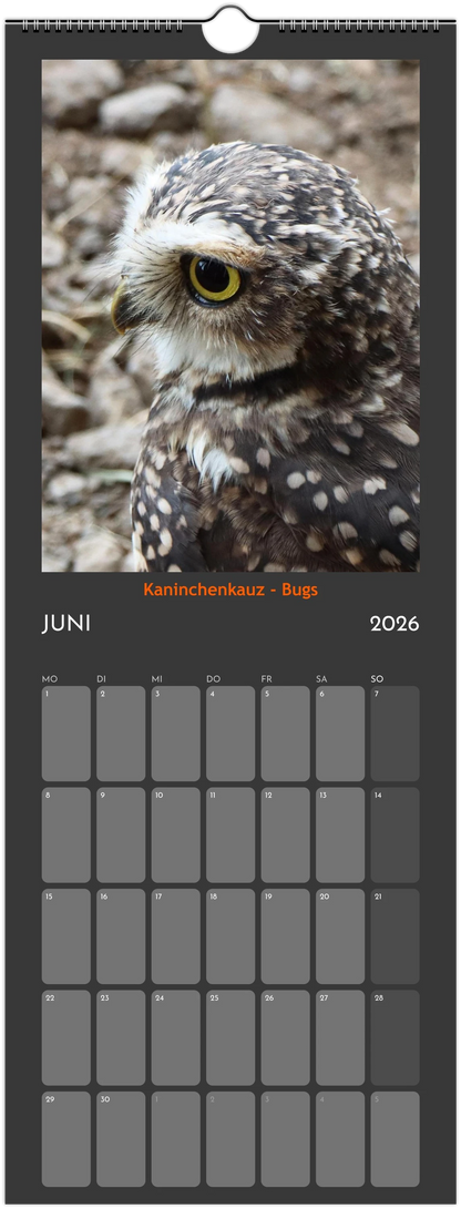 Wandkalender 2026 in 3 Größen