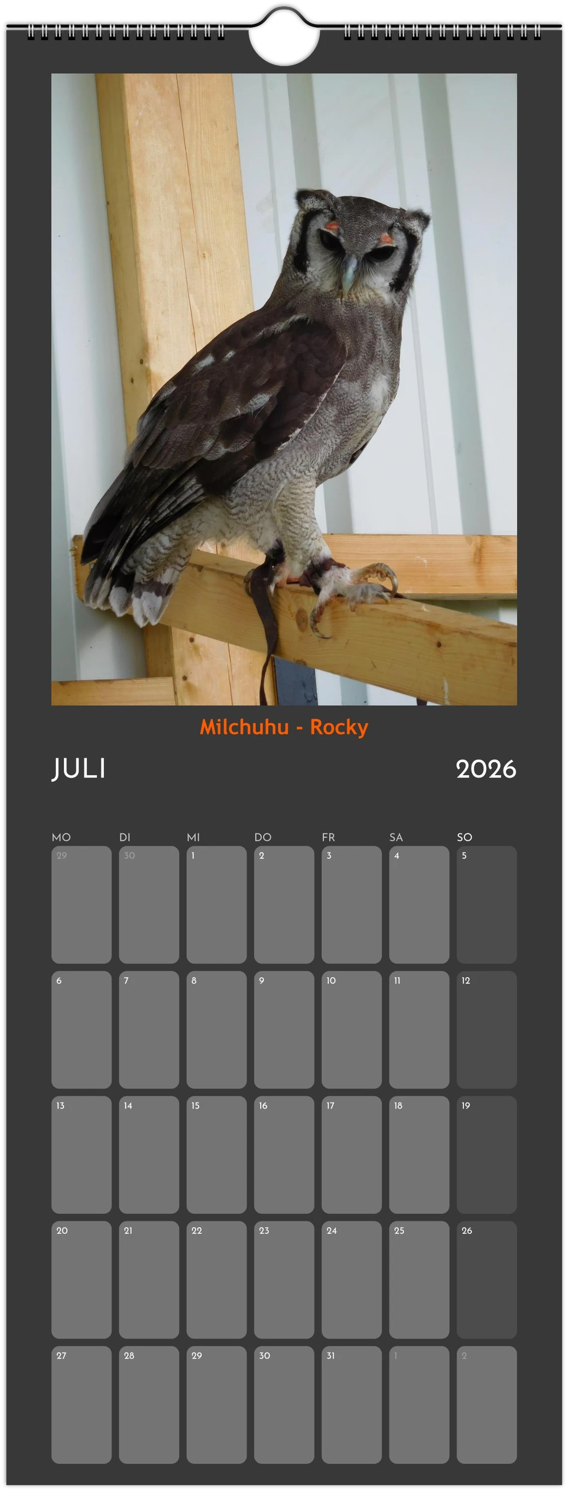 Wandkalender 2026 in 3 Größen