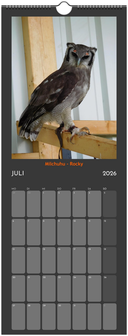 Wandkalender 2026 in 3 Größen