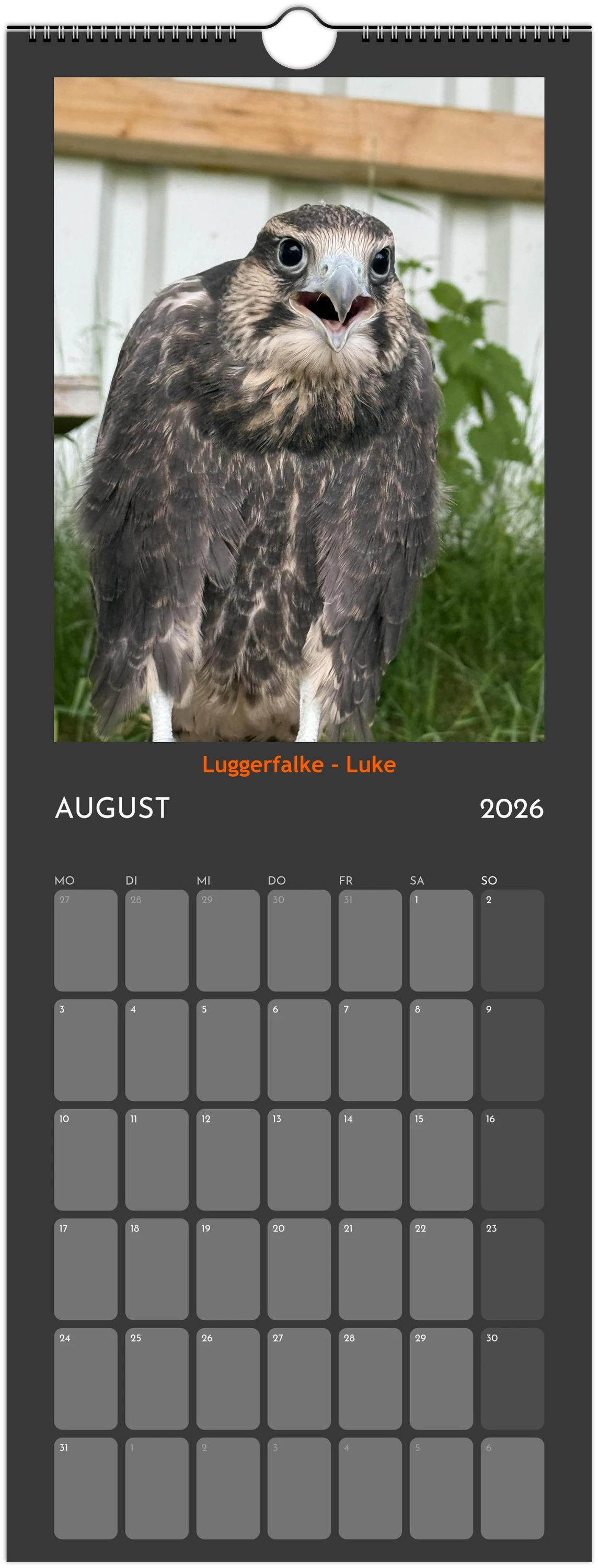 Wandkalender 2026 in 3 Größen