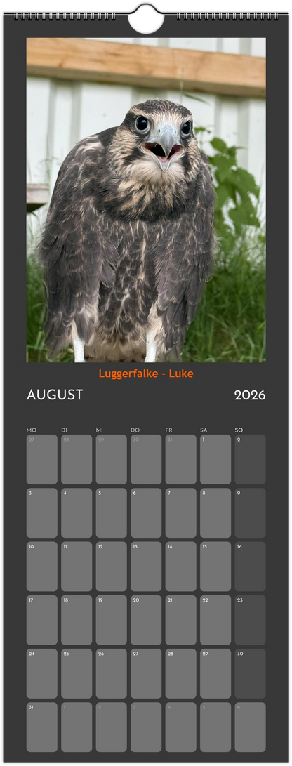 Wandkalender 2026 in 3 Größen